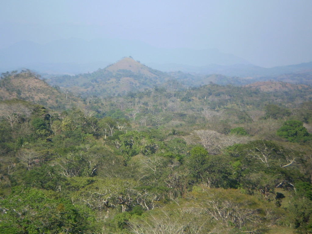Vesuvio in the dry season.